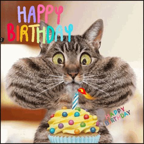 happy birthday gif lustig|Funny Animated Birthday GIFs